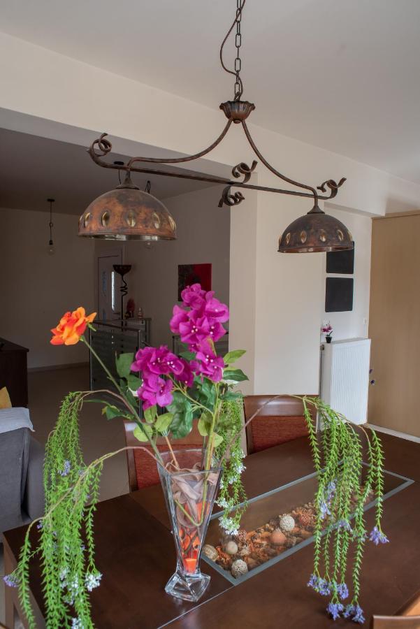 Holiday Lefkas Moonlight Luxury Appartments Nikiana Luaran gambar